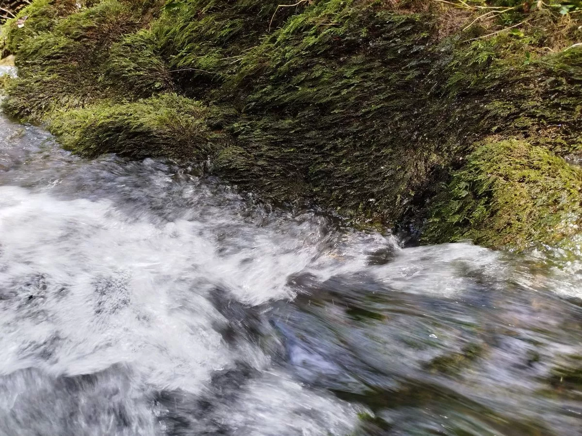 UN: Svijet ušao u period globalnog bankrota vode