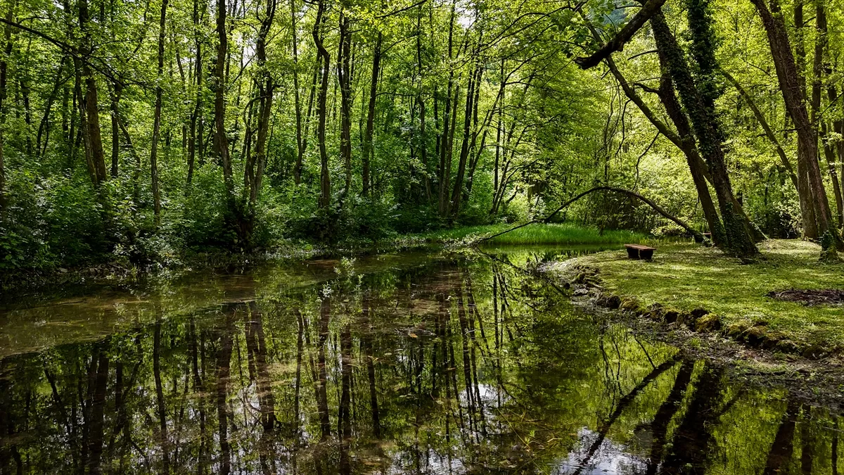 Nihad Uk: Spas od vrućina potražite u prirodi – od Trebevića do Vrela Bosne
