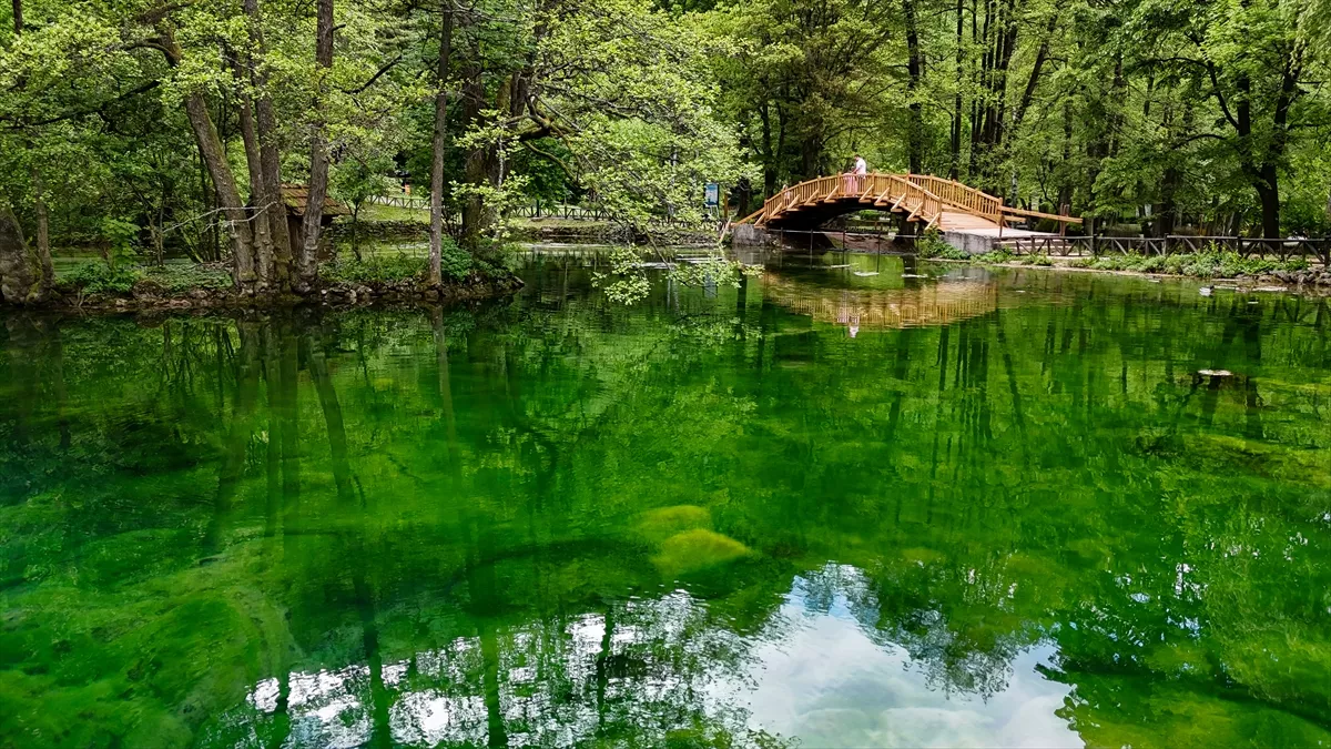 Spomenik prirode Vrelo Bosne: Prirodni biser u Sarajevu