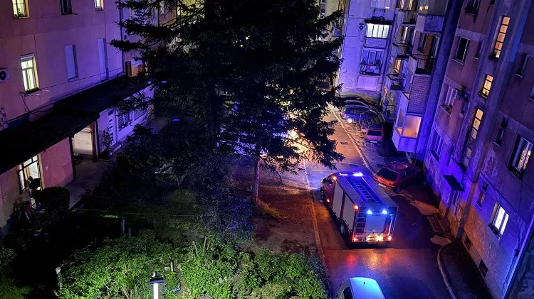 Konjic: Poskok pronađen u stanu