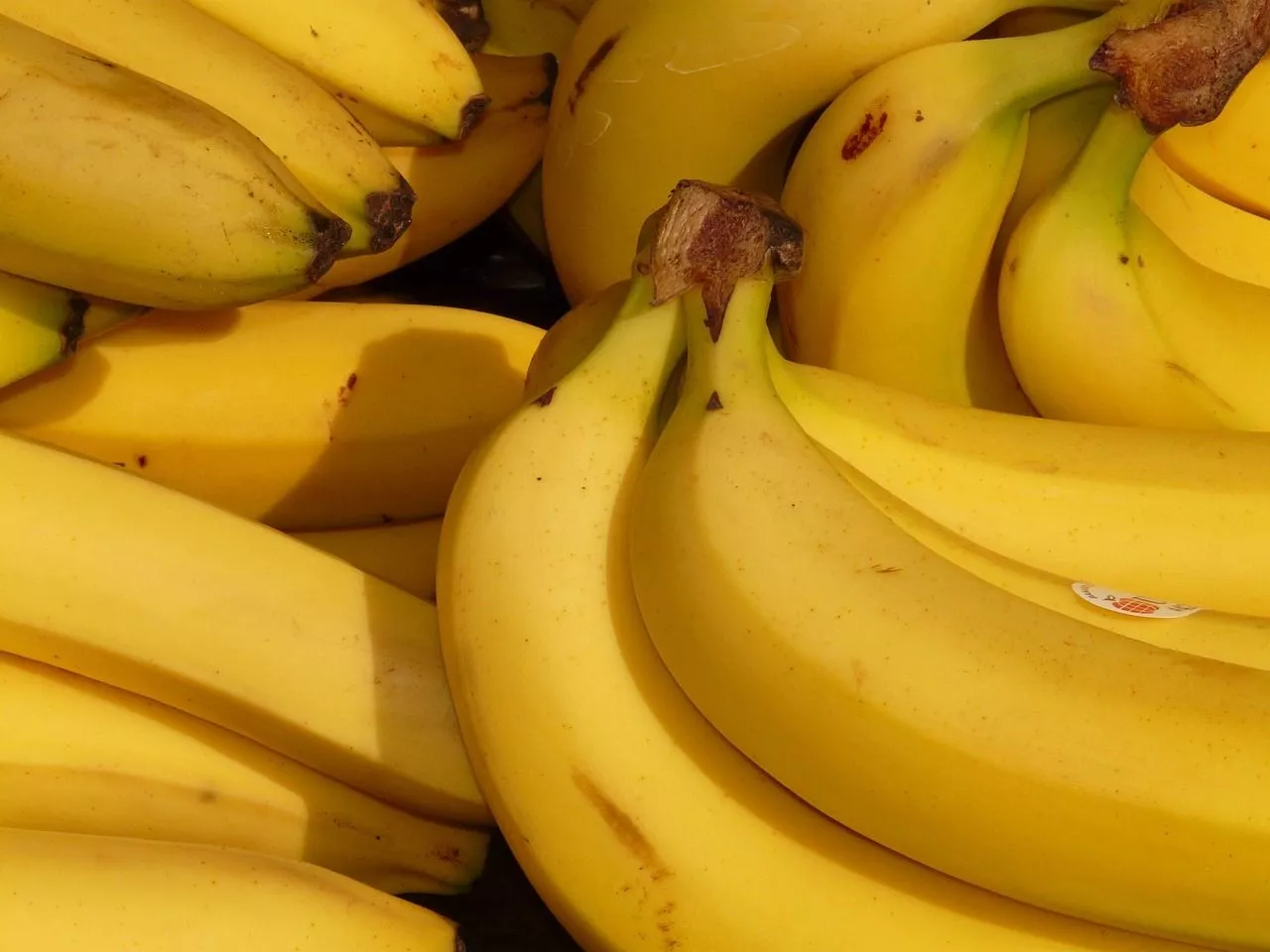Panama proglasila vanredno stanje zbog banana