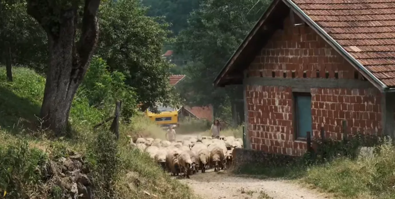 Jusuf Nurkić pomogao porodici iz Foče: Kupio im novo stado ovaca nakon napada vukova