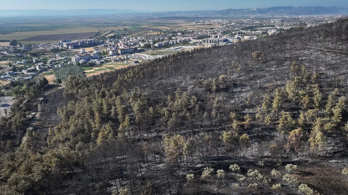 Zastrašujuće fotografije nakon požara u Turskoj: Vatra pod kontrolom, ali i dalje postoji rizik