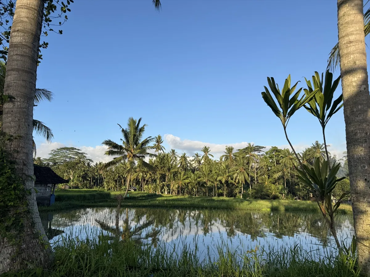 Bali se mijenja pod utjecajem turizma potaknutog društvenim mrežama