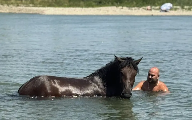 Bijeljinac i njegov konj spas od vrućine pronašli u Drini