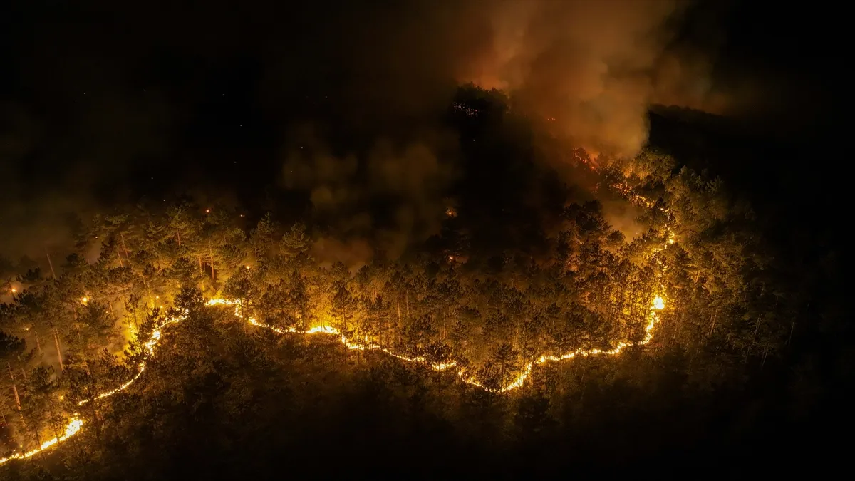 Veliki šumski požar u Turskoj, evakuisano nekoliko sela