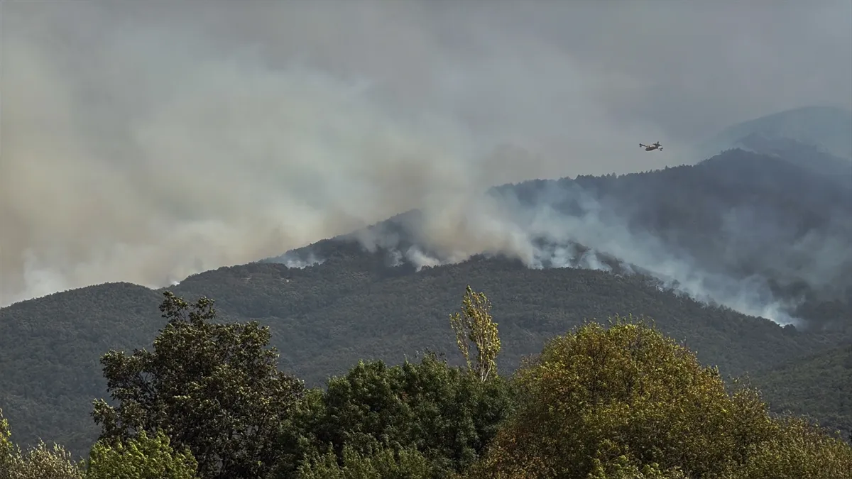Španija se bori s požarima: Troje mrtvih, izgorjelo 115.000 hektara zemljišta