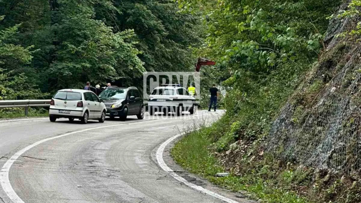 Kod Kladnja automobil sletio sa kolovoza: Poginuo suvozač