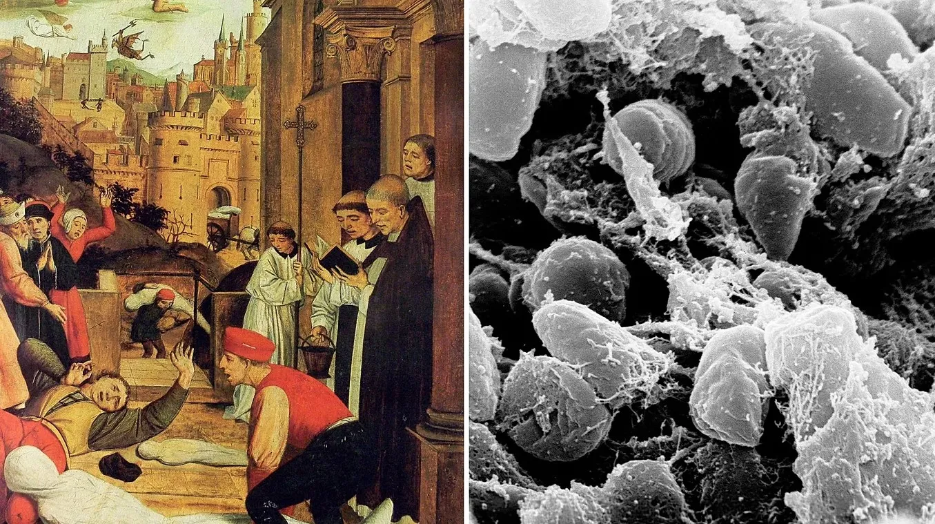 Prva pandemija u historiji: Drevni DNK rješava misteriju uzroka epidemije stare 1.500 godina