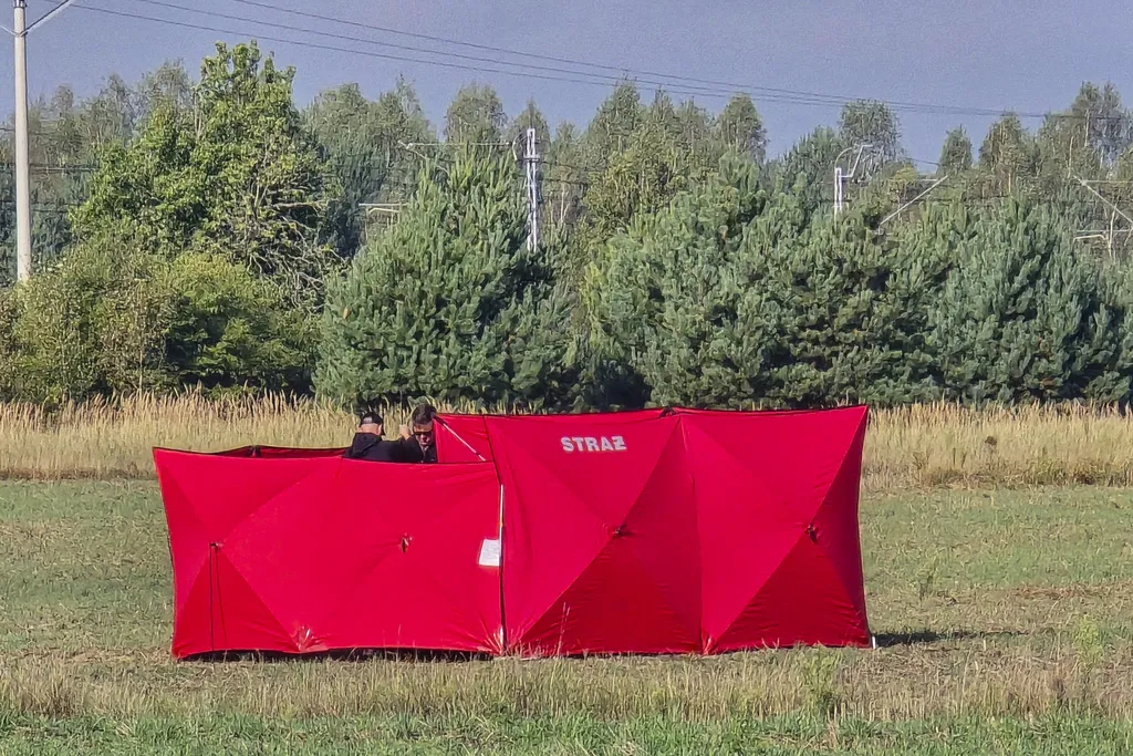 Rusija: Dronovi oboreni iznad Poljske doletjeli su iz Ukrajine