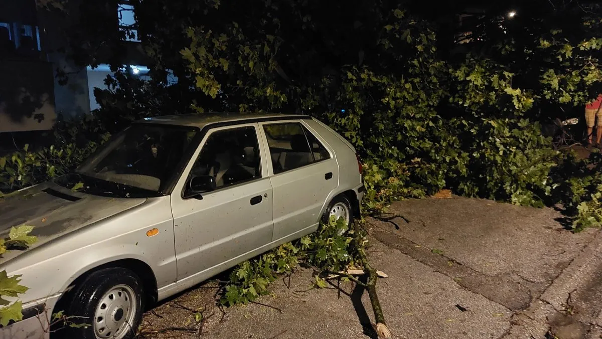 Olujno nevrijeme u Mostaru, orkanski vjetar čupao stabla