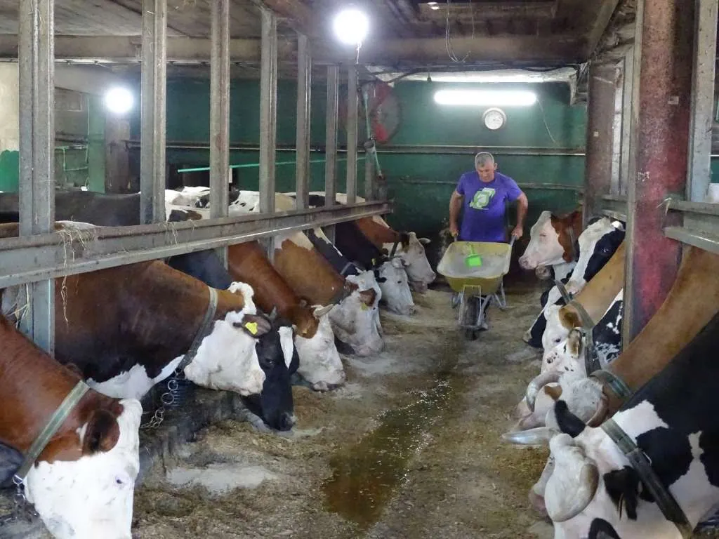 Farmeri iz Unsko-sanskog kantona traže dodatnu podršku zbog inflacije