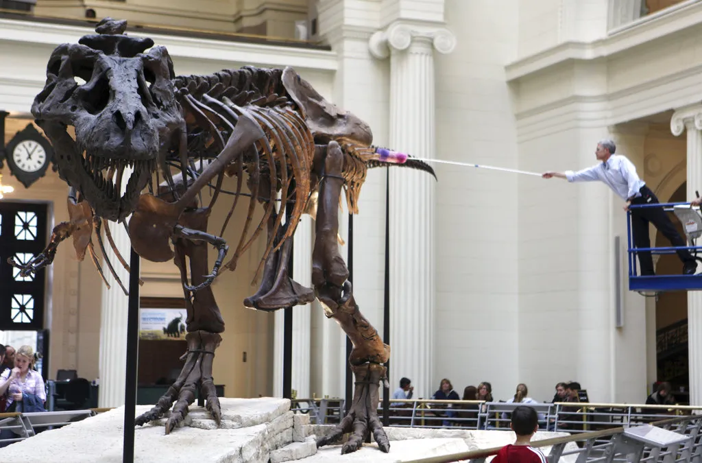 Jedan od najstarijih dinosaura pronađen u Argentini