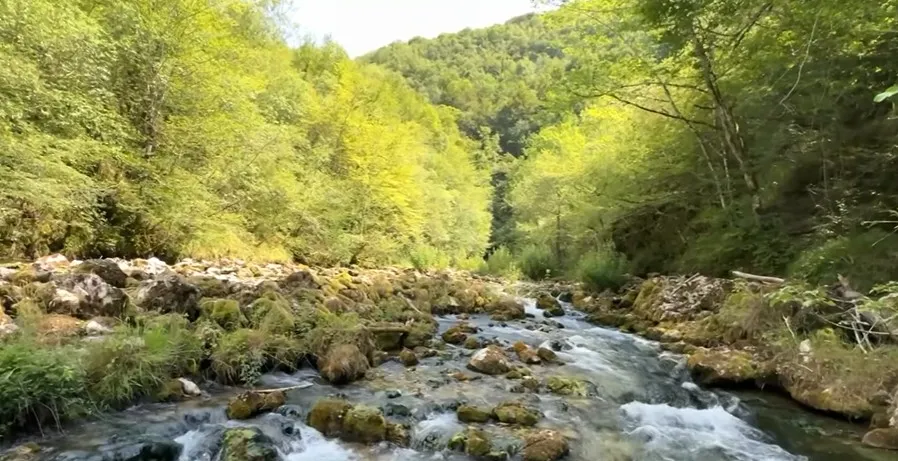 Nepoznata Evropa: Zeleni raj Pecke — spoj avanture, prirode i zajedništva