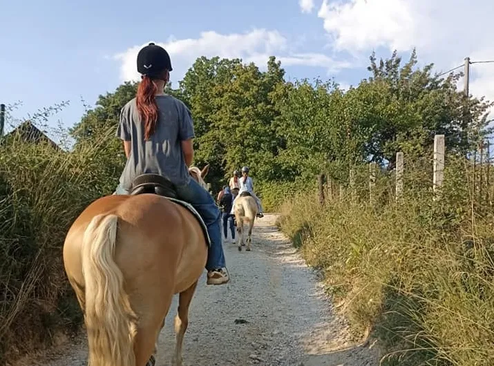 Terapijsko jahanje u Udruženju "Planinski konj" mijenja živote djece