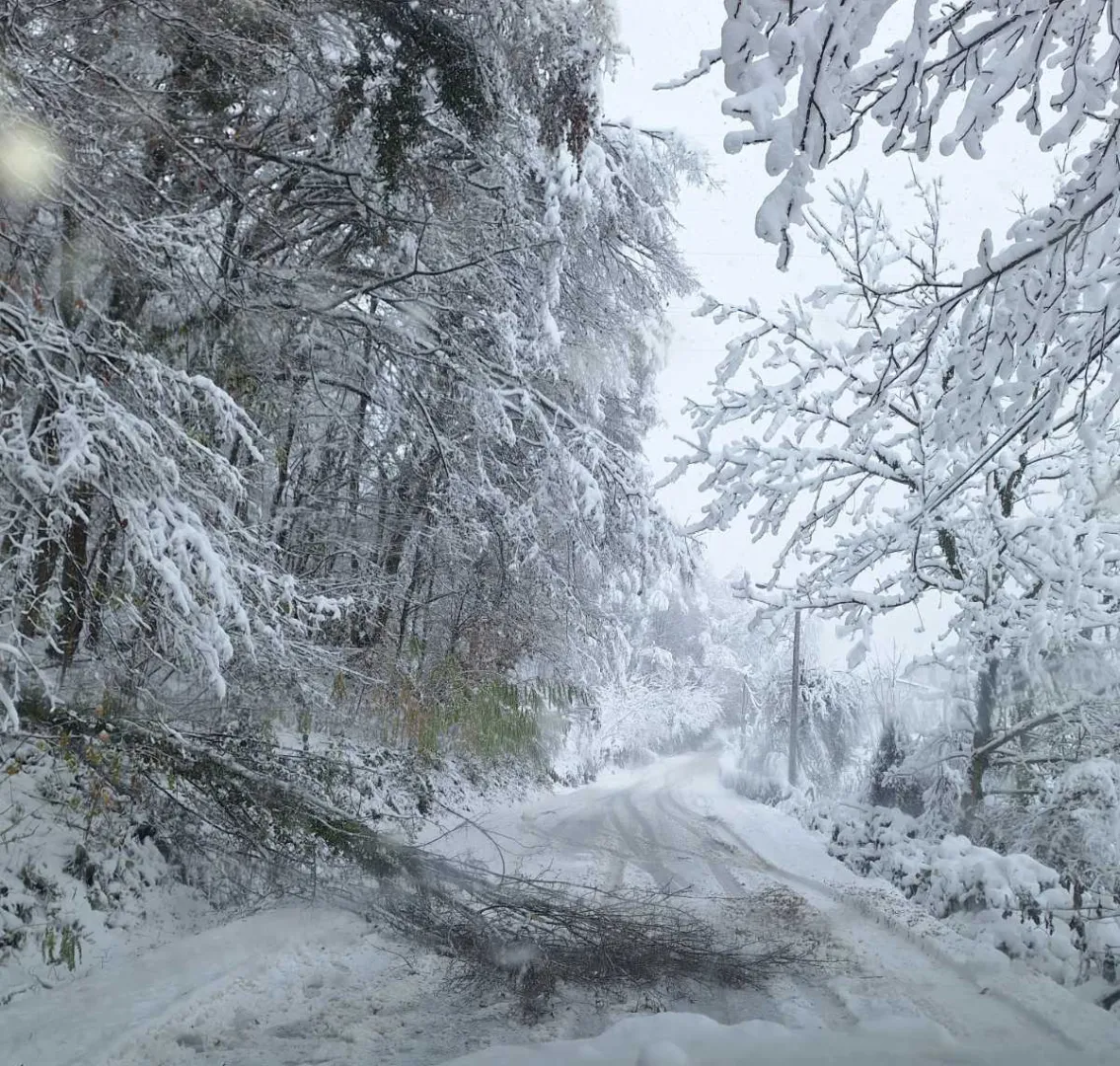 Elektrokrajina: Sanirani brojni kvarovi, ali u više gradova i opština situacija i dalje složena