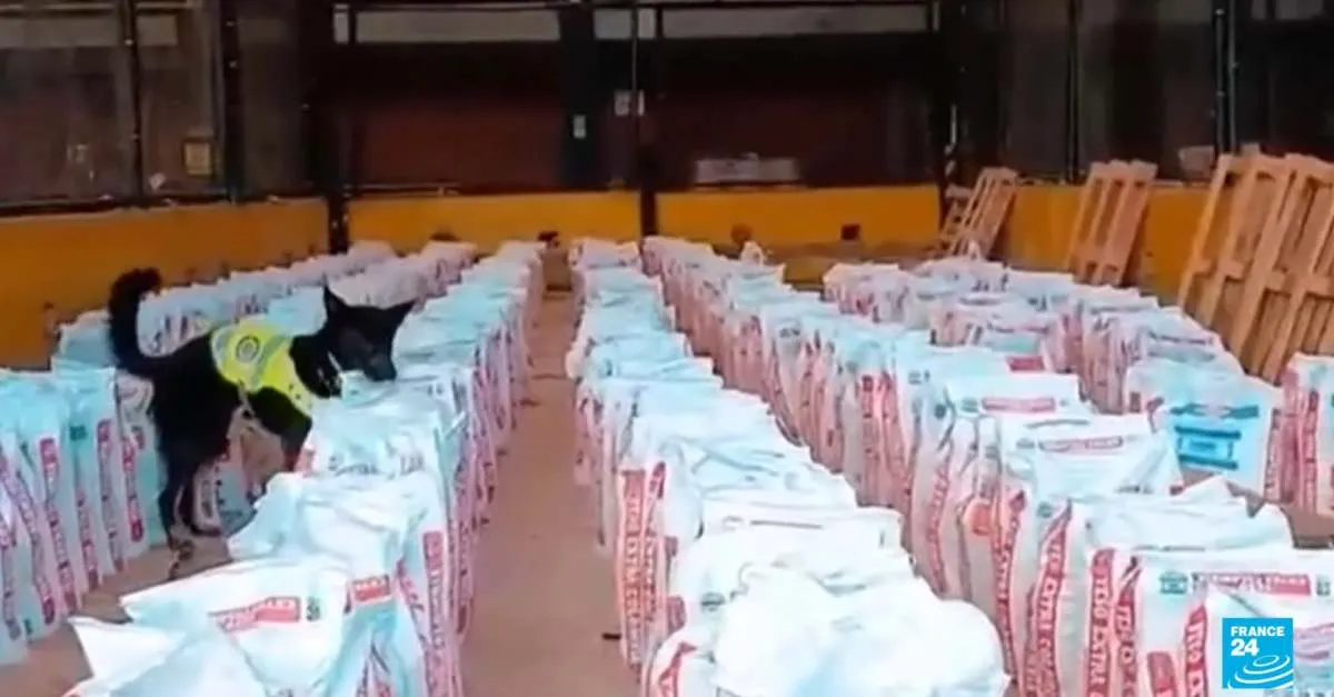 U Kolumbiji zaplijenjeno 14 tona kokaina, najveća količina u posljednjih 10 godina