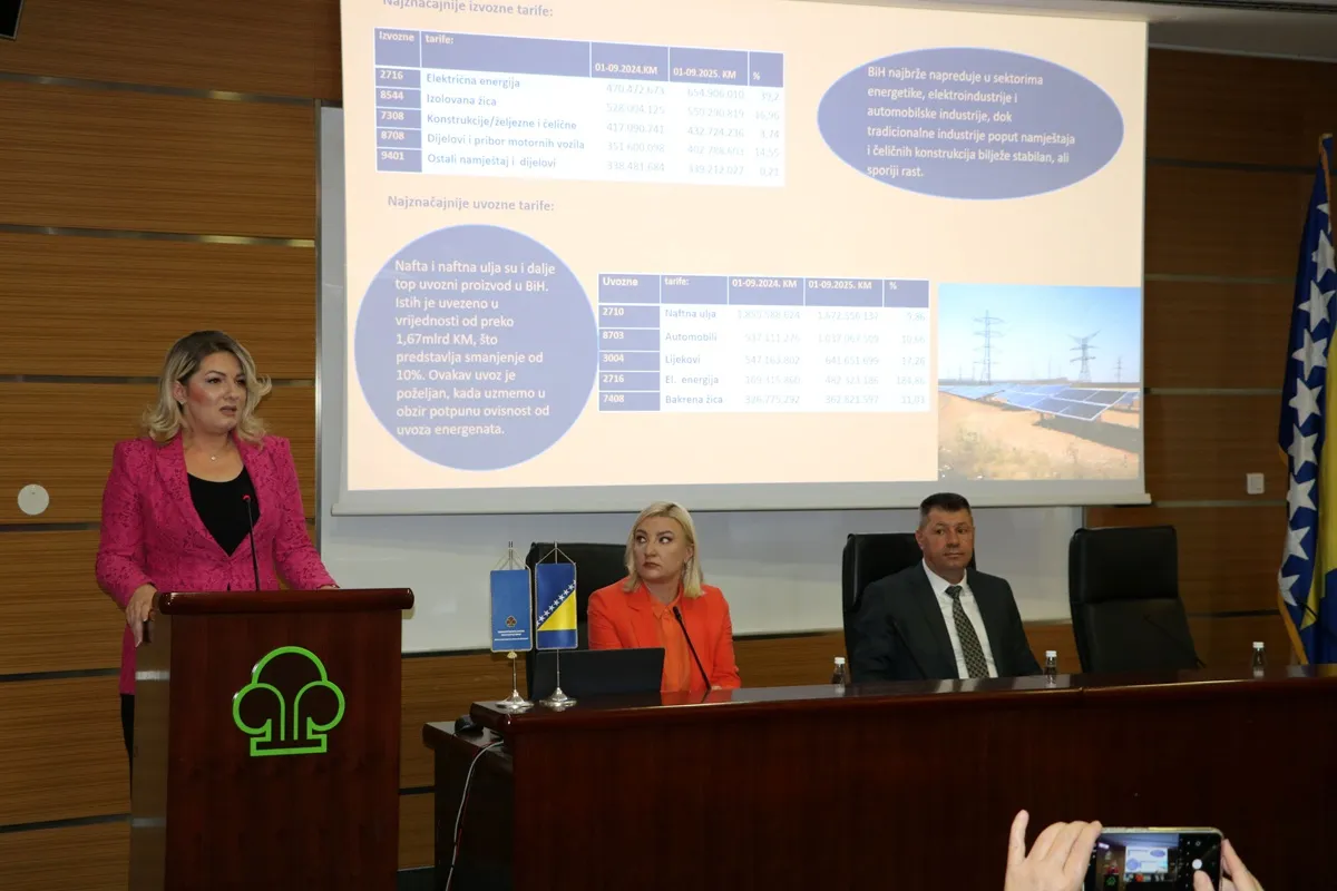 Uvoz električne energije u BiH porastao za gotovo 184%