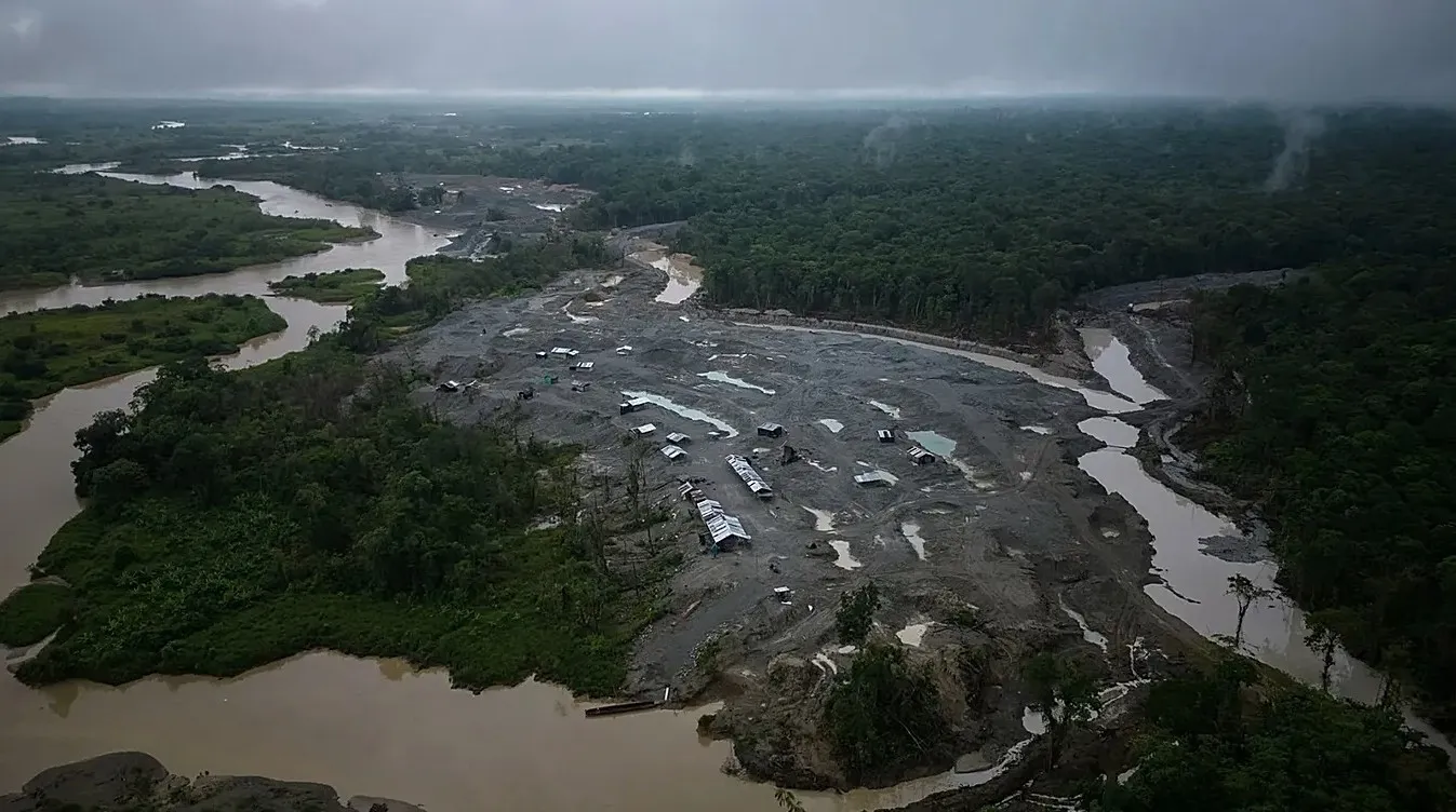 Desničarska većina u EU ublažila pravila za zaštitu šuma