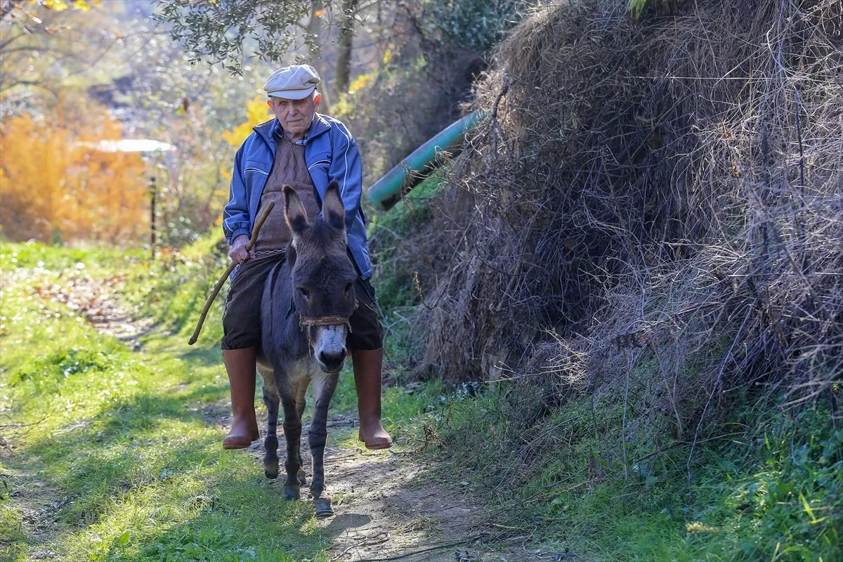 Slijepi djed Raif već se 24 godine kreće zahvaljujući svom magarcu: On je postao moje oči i uši