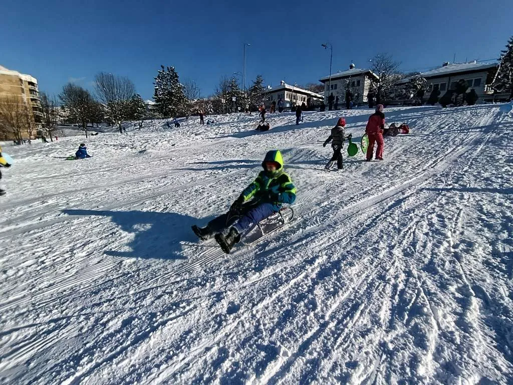 Sarajevo: Brojni mališani uživaju u sankanju i igri na snijegu u sarajevskom naselju Mojmilo