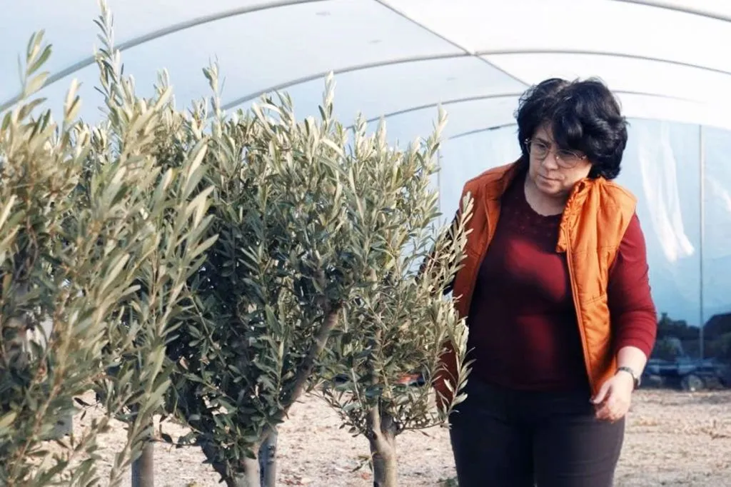 Zapošljavanje osoba s invaliditetom: Zakonska obaveza, društvena odgovornost ali i poslovna prilika