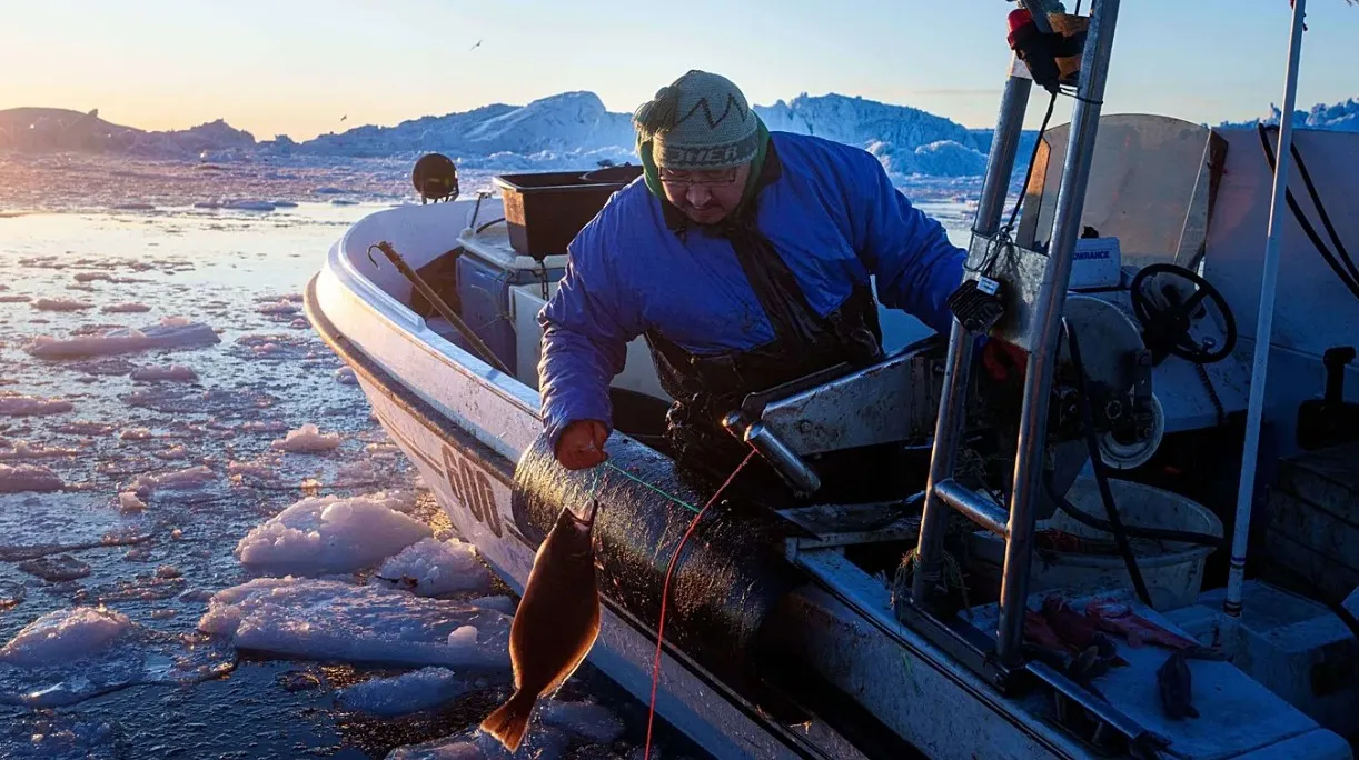 Klimatske promjene mijenjaju ribolov na Grenlandu: Nestanak leda tjera ribare na more
