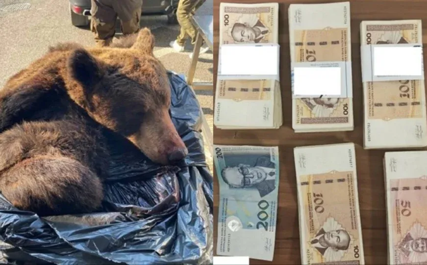 Državljani BiH i Srbije papreno kažnjeni na granici: Jedan zbog gotovine, drugi zbog medvjeda