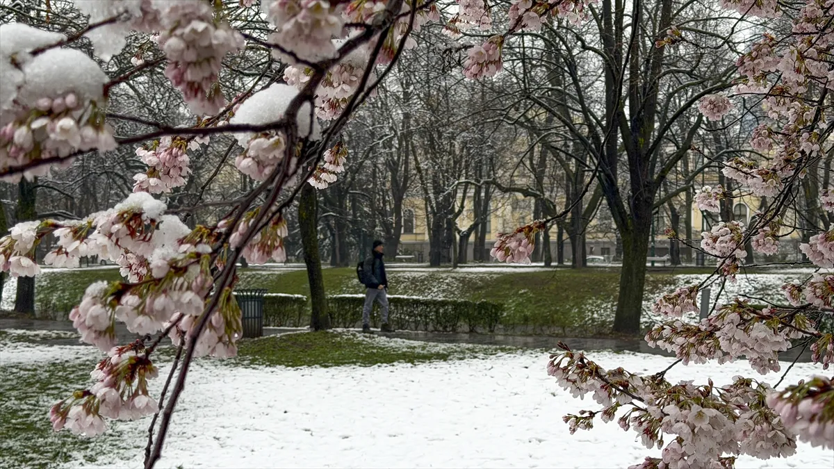 Snijeg prekrio behar u Sarajevu