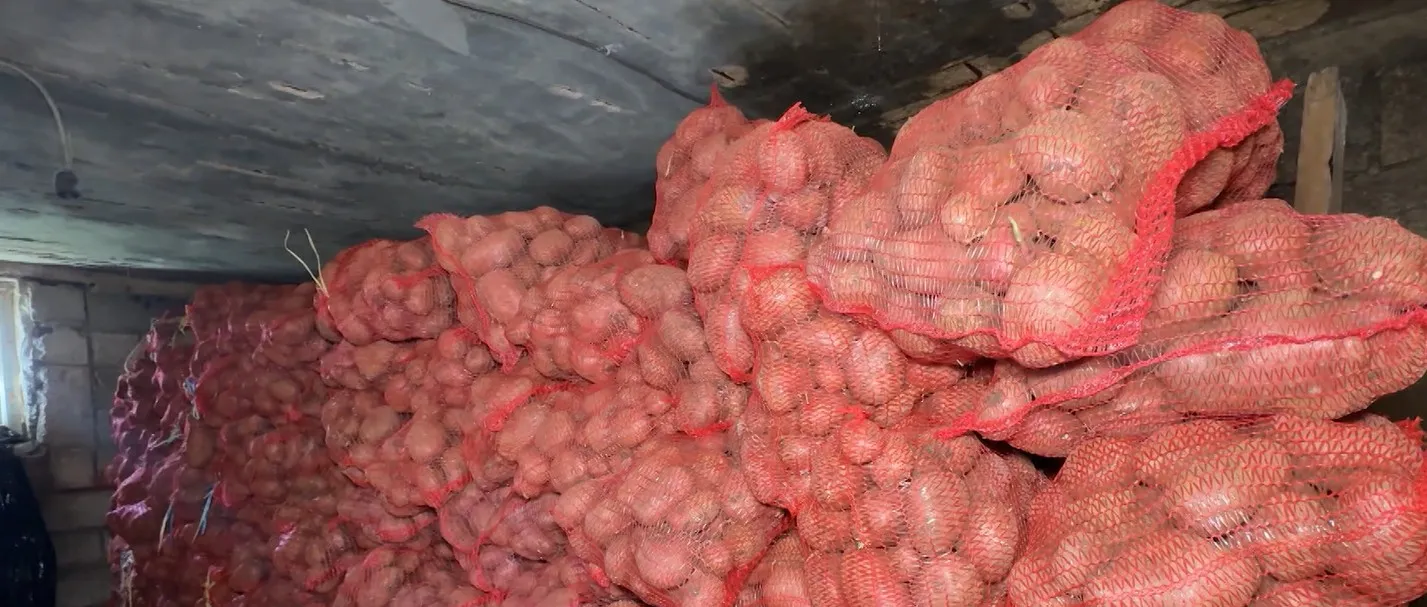 "Digitalna straža" nad glamočkim krompirom: Vještačka inteligencija stiže na njive