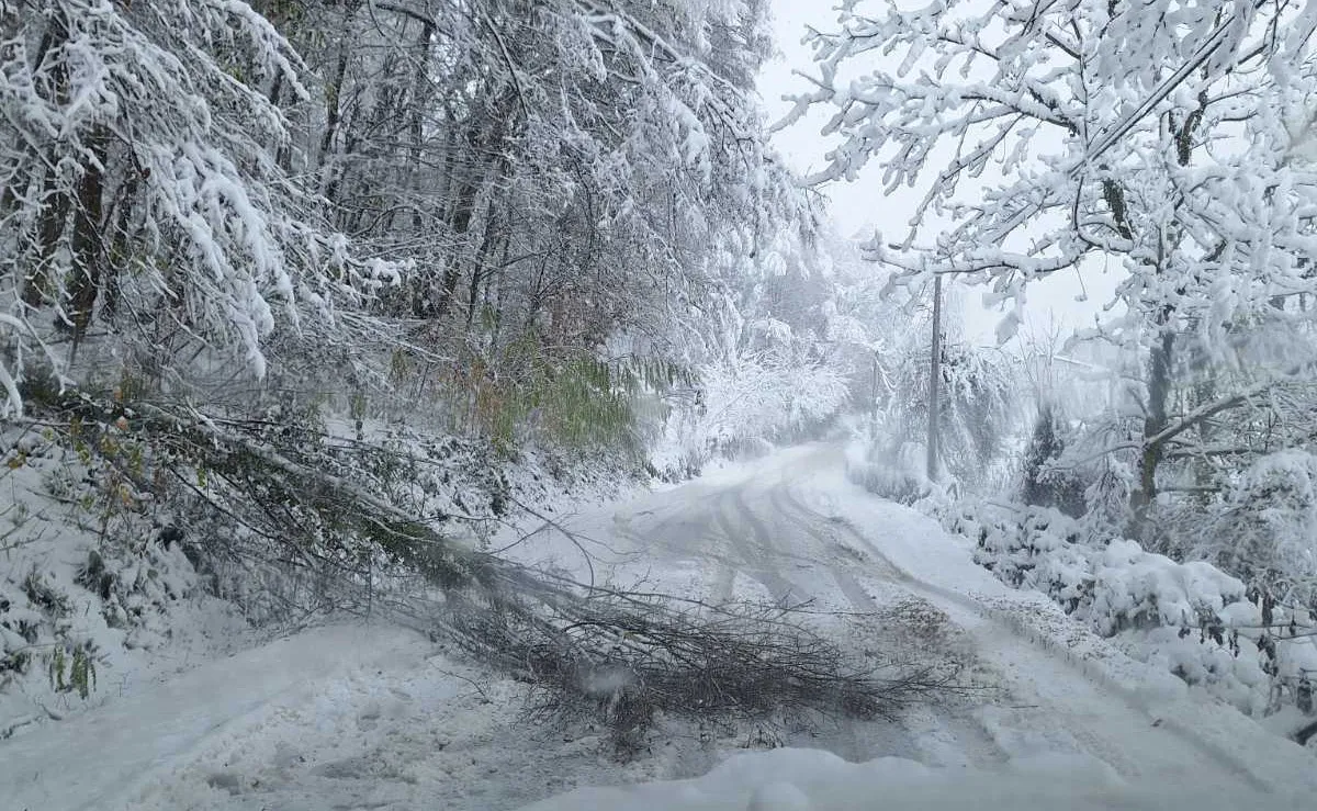 Mještani Donjih Kola danas blokiraju put Banjaluka-Jajce