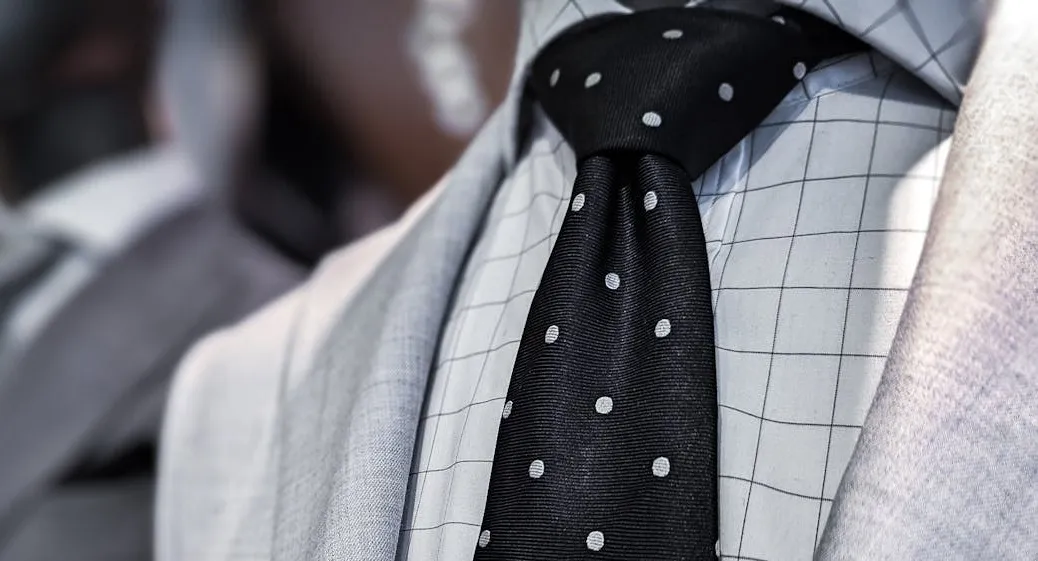 Milionske nekretnine, kompanije i basnoslovne ušteđevine: Šta se posjeduju političari u BiH?