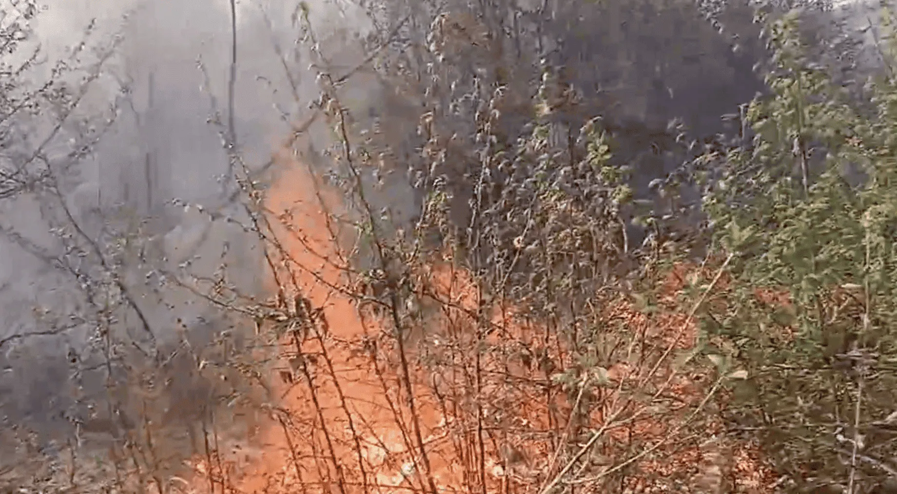 Vatrogasci se bore s požarom na području Ilidže, spriječeno širenje vatre prema kućama