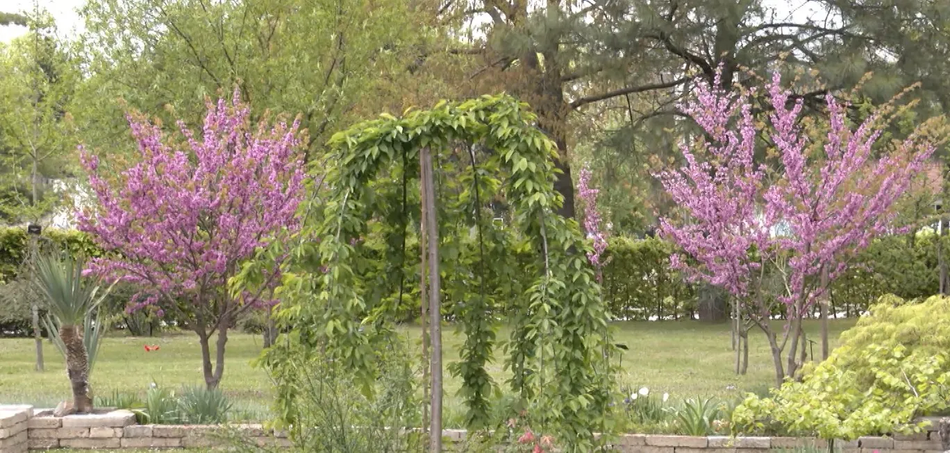 Dan planete Zemlje: Neophodno podizanje svijesti o značaju očuvanja prirode