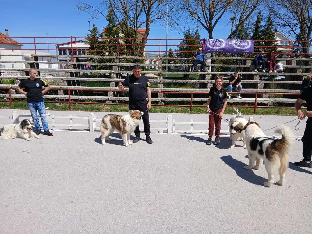 U Tomislavgradu predstavljeni najljepši tornjaci iz BiH i regije