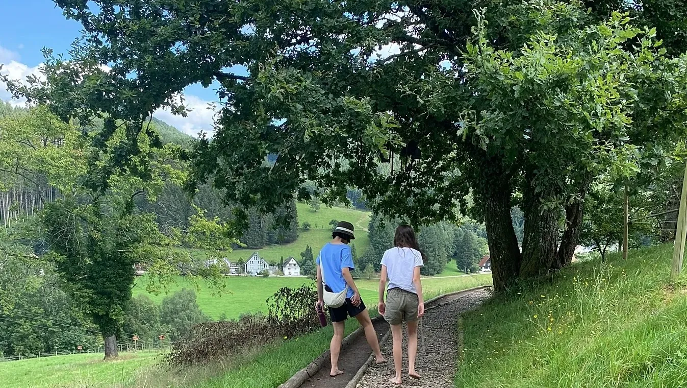 Hodanje bez cipela kao terapija: njemački trend širi se svijetom