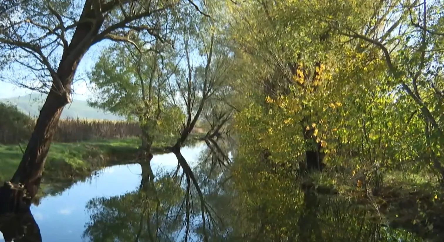 Nepoznata Evropa: Tajna rijeke Krupe i čudo Hutovog blata