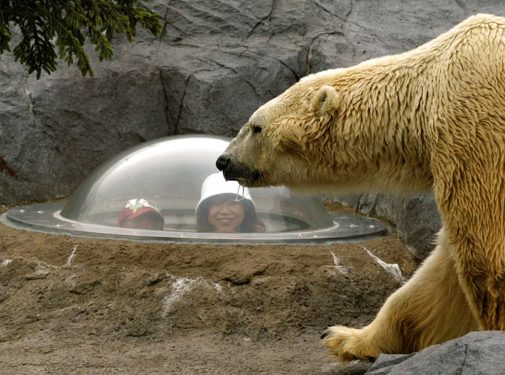 Zaposlenik zoološkog vrta u Japanu navodno bacio tijelo supruge u spalionicu za životinje