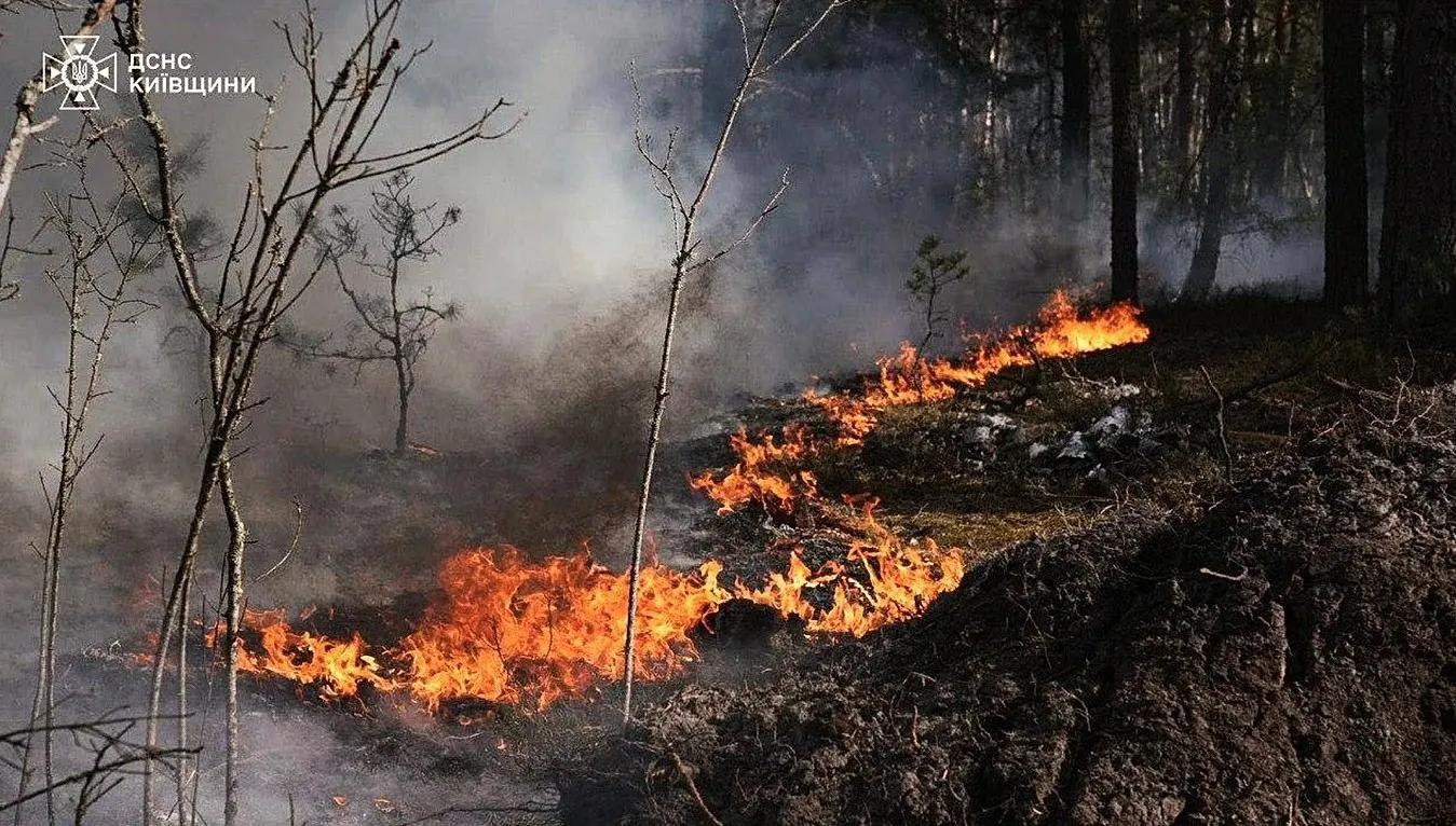 Kijev saopštio da u zoni isključenja Černobila gori veliki šumski požar nakon pada drona