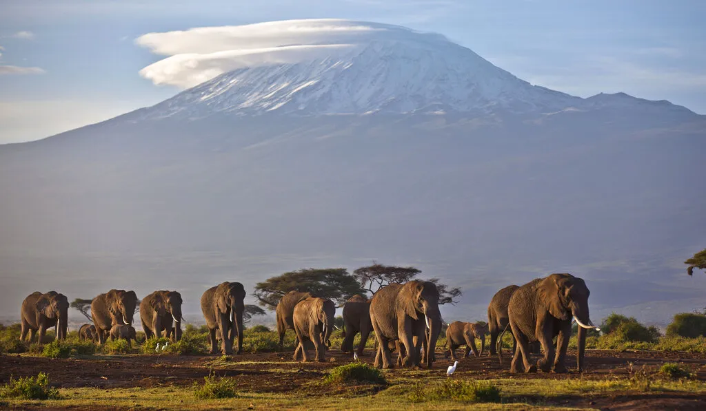 ZA VIKEND Želite li se popeti na najvišu planinu Afrike? Dolazak do Kilimandžara iz Evrope uskoro će postati lakši