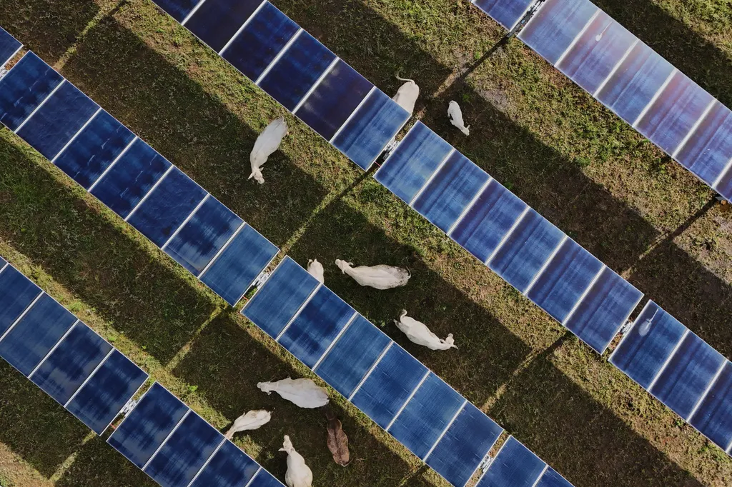 Porast solarne energije u Evropi dovodi do negativnih cijena