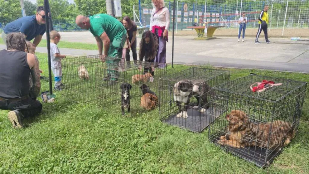 U Brčkom održana radionica 'Voz prijateljstva - šapama do srca'