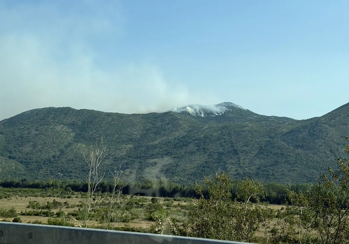 Vatrogasci se još bore s požarom kod Trebinja izazvanim gromom