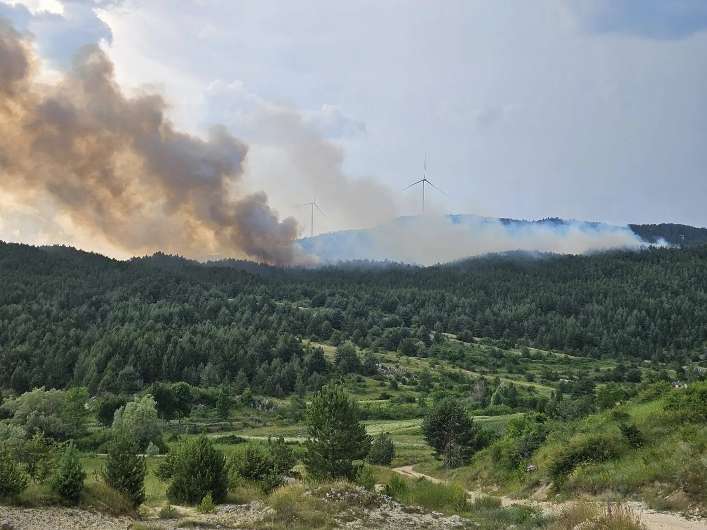 Veliki šumski požar u Posušju, čeka se pomoć iz vazduha; vatrogasci i kod Trebinja