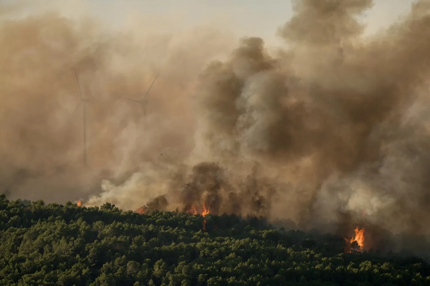 Veliki šumski požar na jugu Francuske