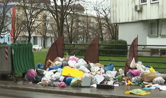 Ekolozi upozoravaju na plastiku: Mikroplastika pronađena u testisima i u plodovoj vodi