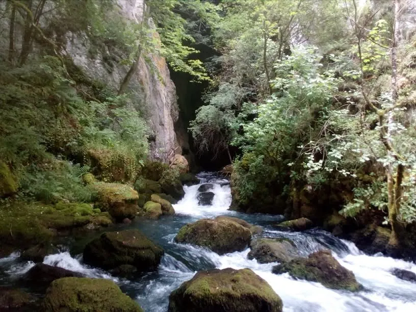Govještica: Tajanstveno podzemno carstvo i prirodni dragulj Bosne i Hercegovine