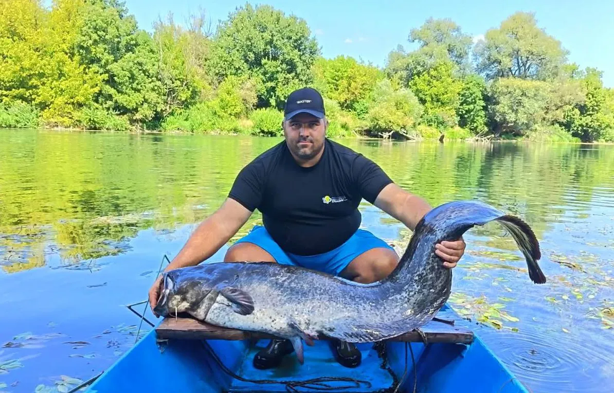 Iz Une izvukao soma teškog 42 kilograma