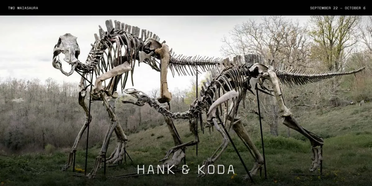 Skeleti dinosaurusa stari 76 miliona godina na aukciji, procijenjeni na dva miliona dolara