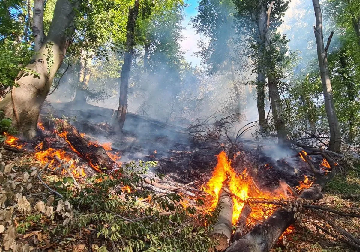 Požarišne tačke aktivne širom TK, intervenisali vatrogasci